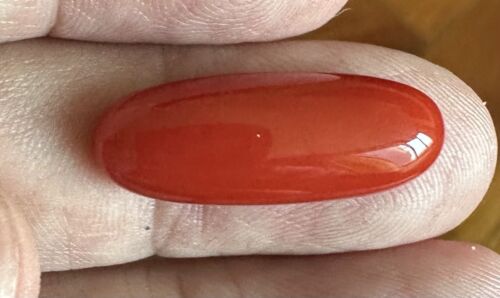 Wonderful Ox Blood 12.43ct Coral Cabochon