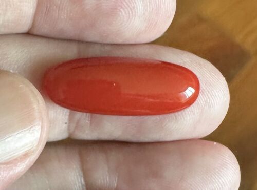 Wonderful Ox Blood 12.43ct Coral Cabochon