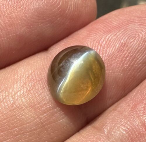 Stunning 7.05ct Chrysoberyl Cat’s Eye