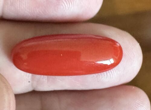 Wonderful Ox Blood 12.43ct Coral Cabochon