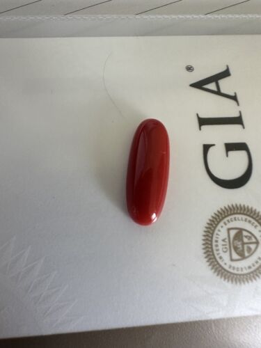 Wonderful Ox Blood 12.43ct Coral Cabochon