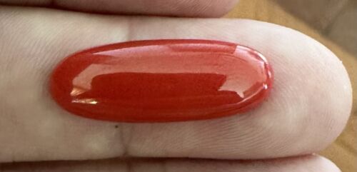 Wonderful Ox Blood 12.43ct Coral Cabochon