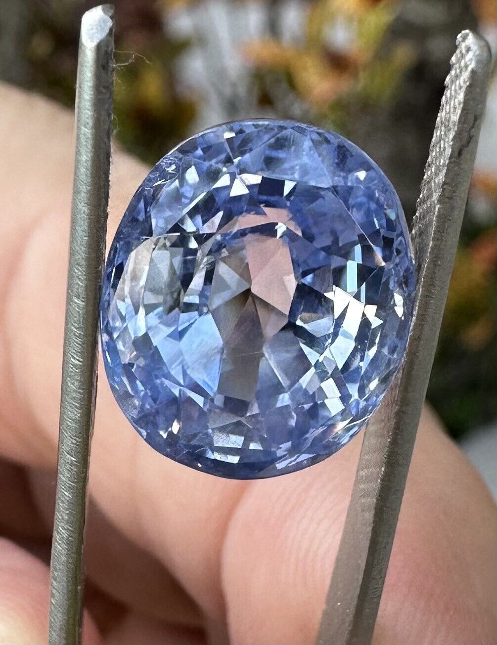 A Stunning Unheated 13.40ct Sri Lankan Blue Sapphire