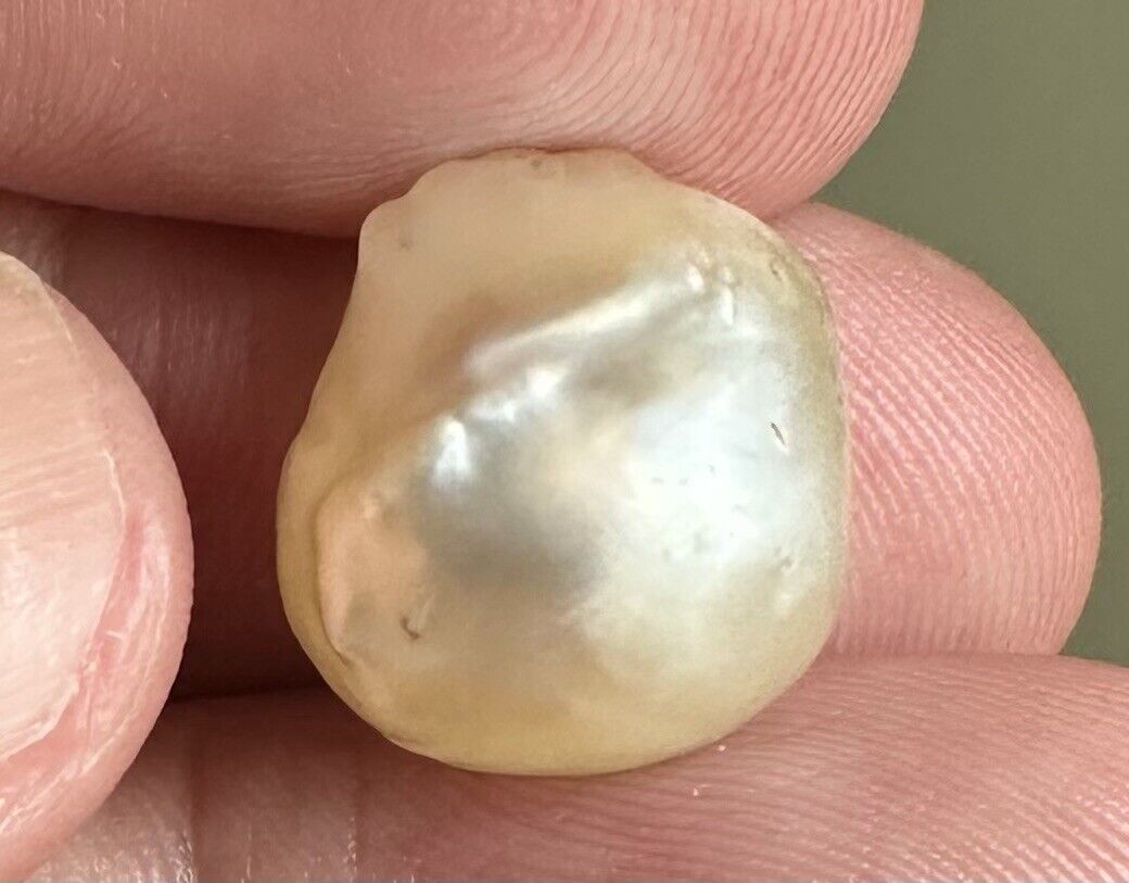 A Superb 18.31ct Natural Pearl & GIA Certificate