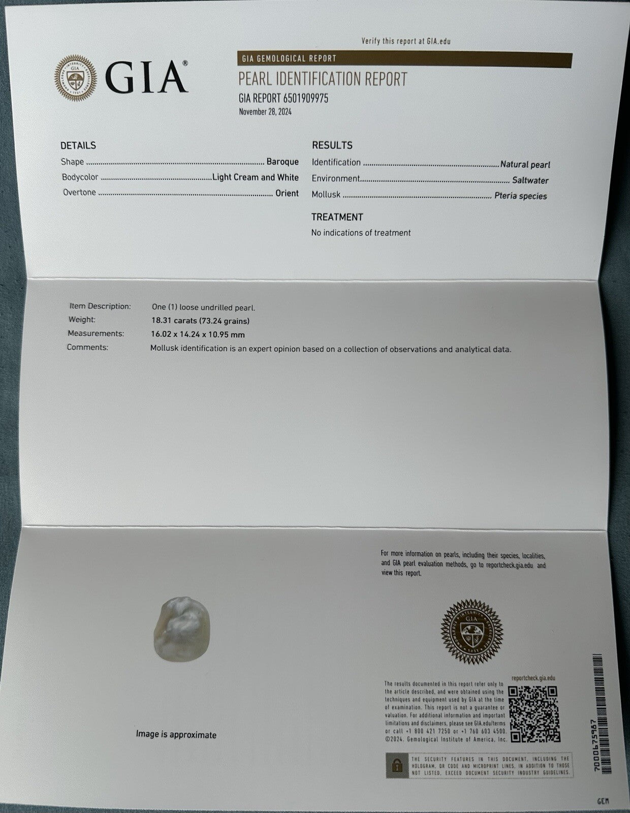 A Superb 18.31ct Natural Pearl & GIA Certificate