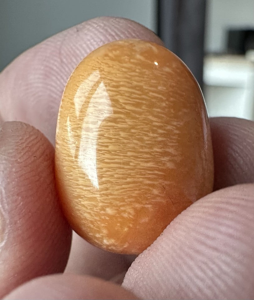 A Magnificent Melo Pearl 36.54ct
