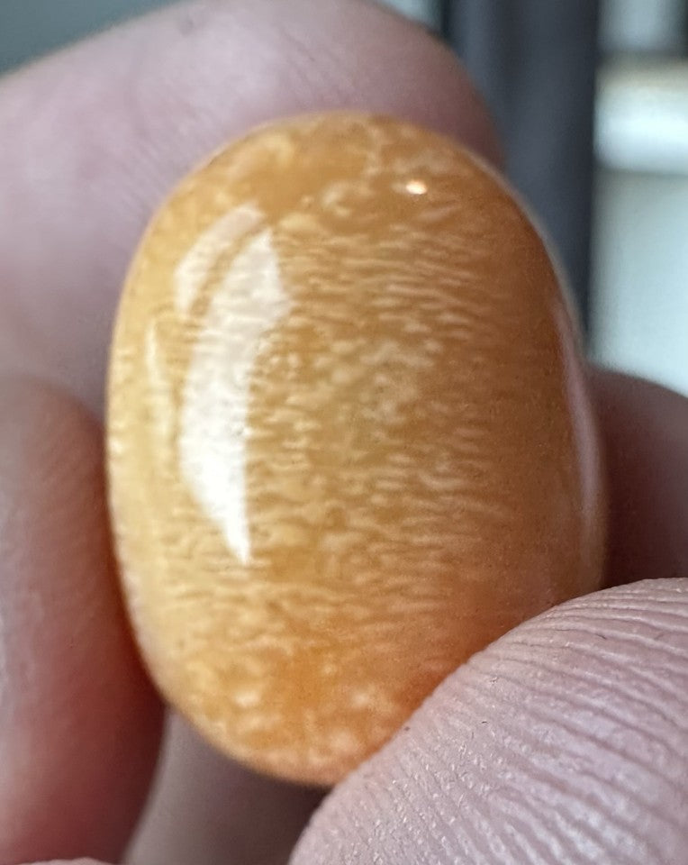 A Magnificent Melo Pearl 36.54ct