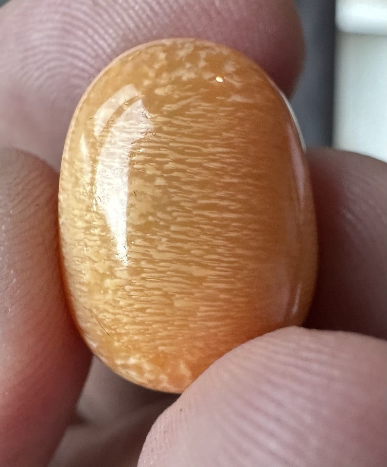 A Magnificent Melo Pearl 36.54ct