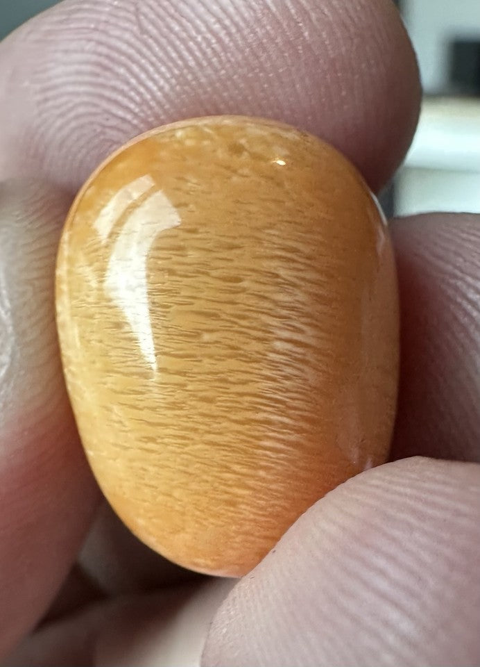 A Magnificent Melo Pearl 36.54ct