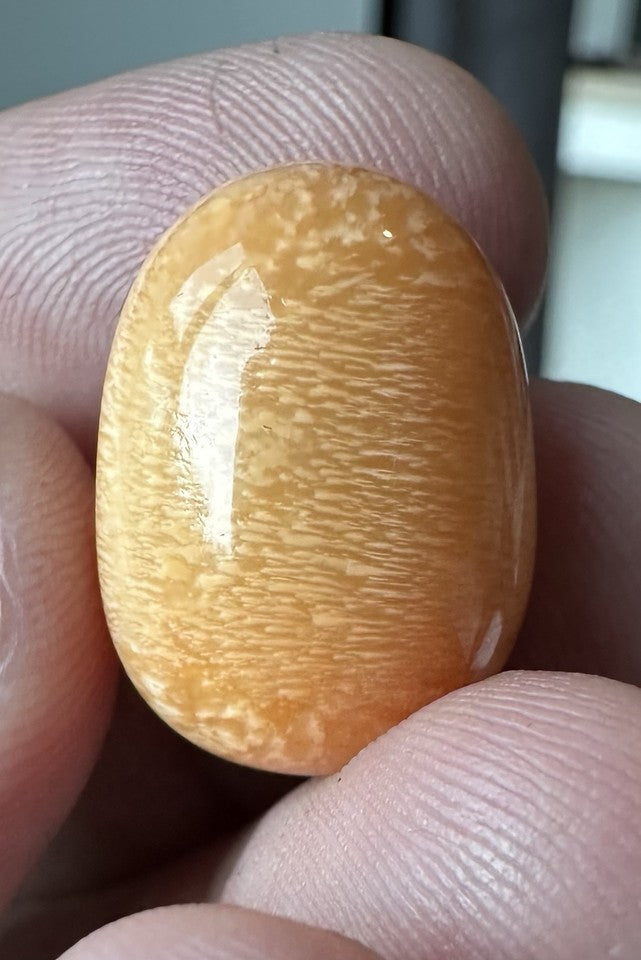 A Magnificent Melo Pearl 36.54ct