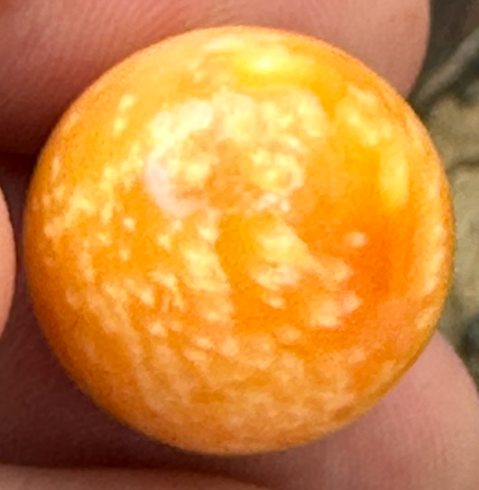 A Beautiful Melo Pearl 47.95ct GIA Certificate