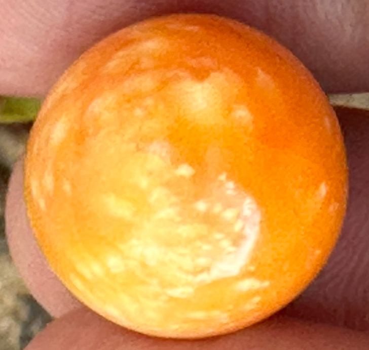 A Beautiful Melo Pearl 47.95ct GIA Certificate