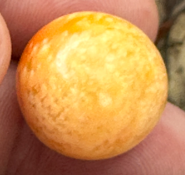 A Beautiful Melo Pearl 47.95ct GIA Certificate