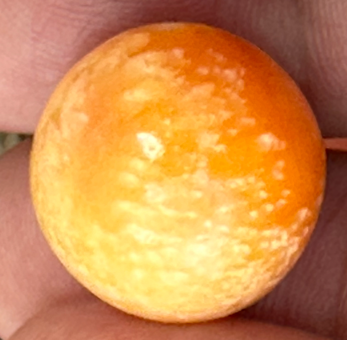 A Beautiful Melo Pearl 47.95ct GIA Certificate