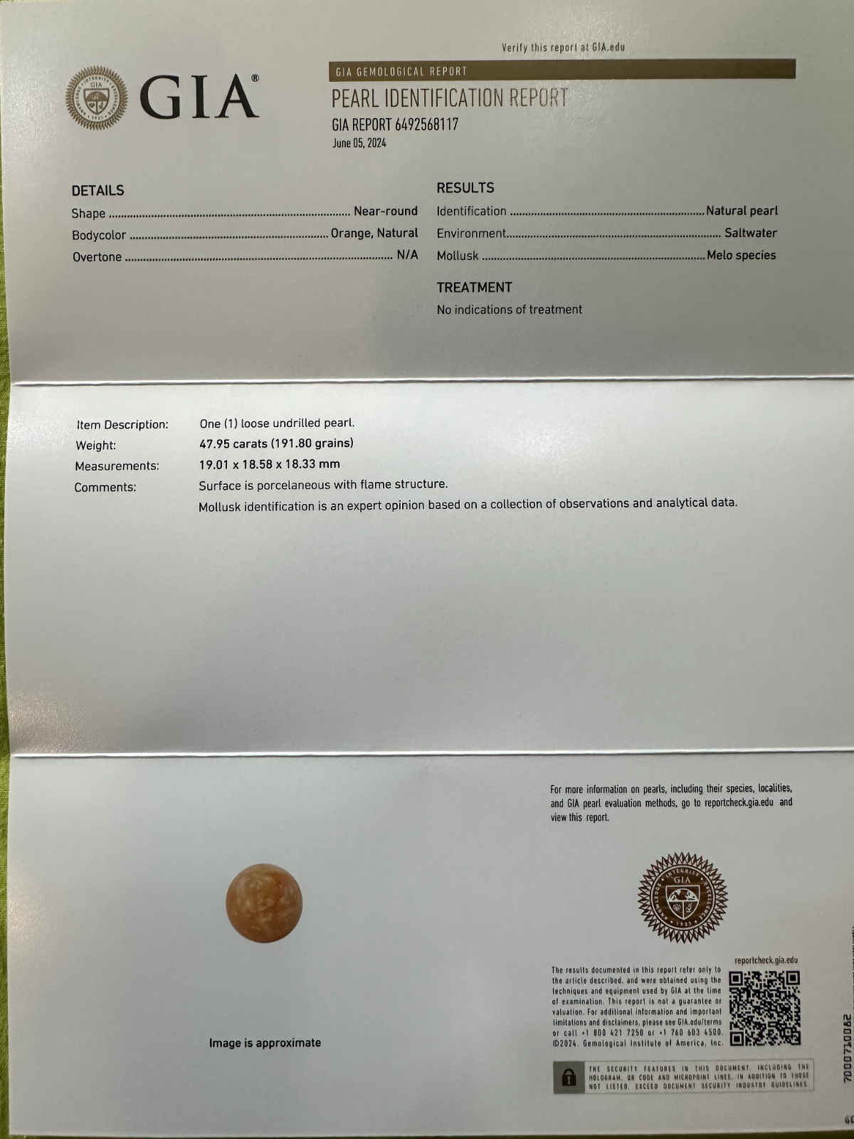 A Beautiful Melo Pearl 47.95ct GIA Certificate