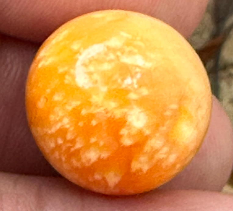 A Beautiful Melo Pearl 47.95ct GIA Certificate