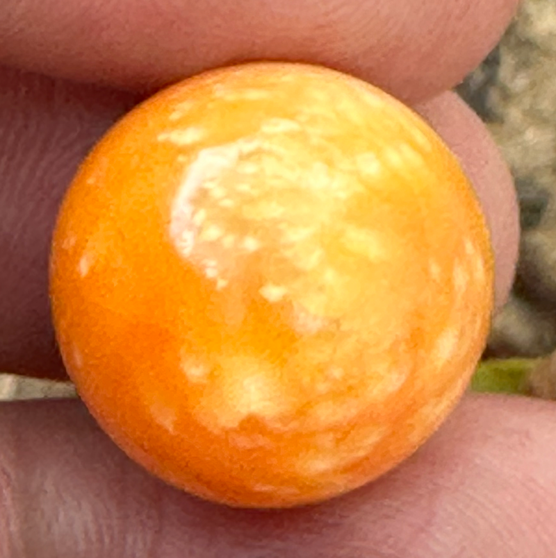 A Beautiful Melo Pearl 47.95ct GIA Certificate