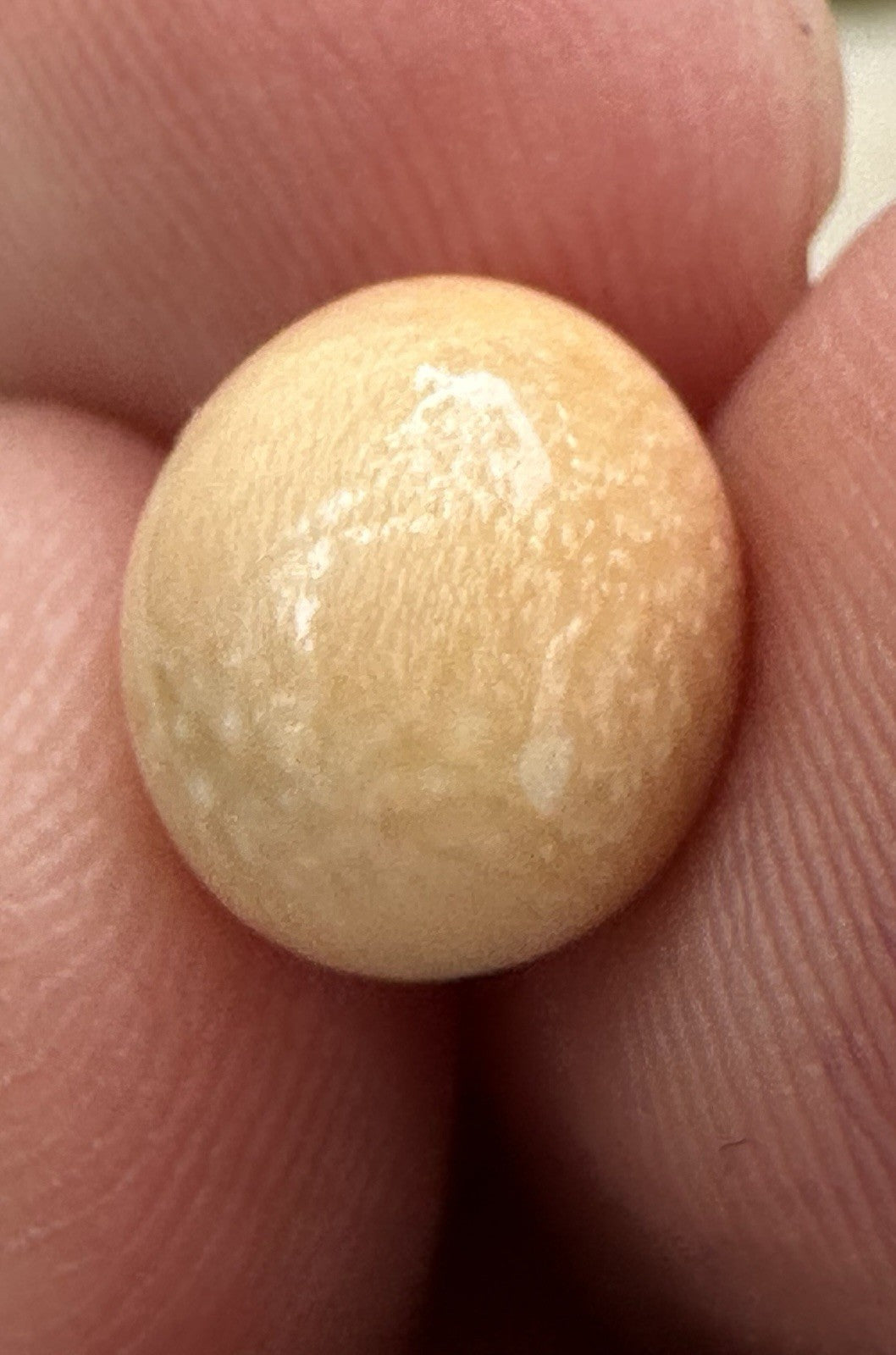 A Delightful Melo Pearl 5.22ct