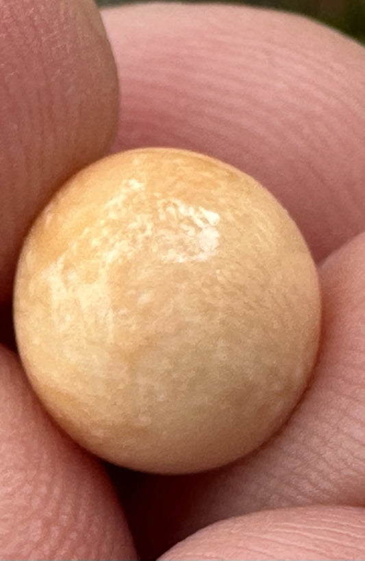 A Delightful Melo Pearl 5.22ct