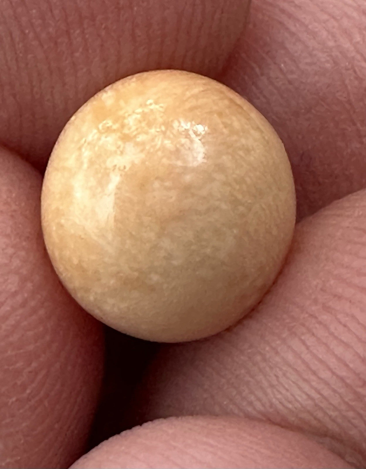 A Delightful Melo Pearl 5.22ct
