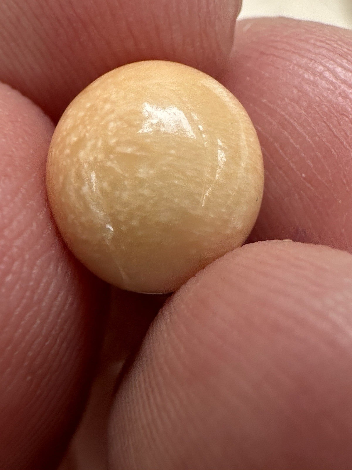 A Delightful Melo Pearl 5.22ct