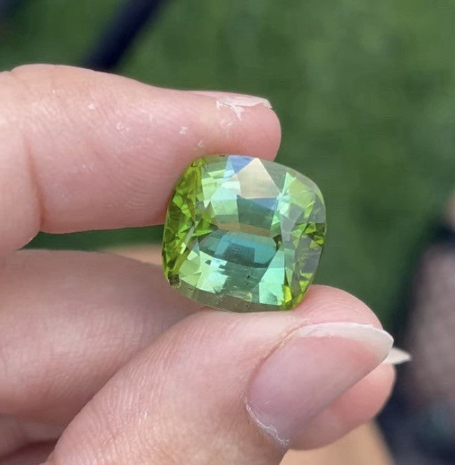 A Beautiful And Rare 10.50ct Vietnam Bicolor Tourmaline