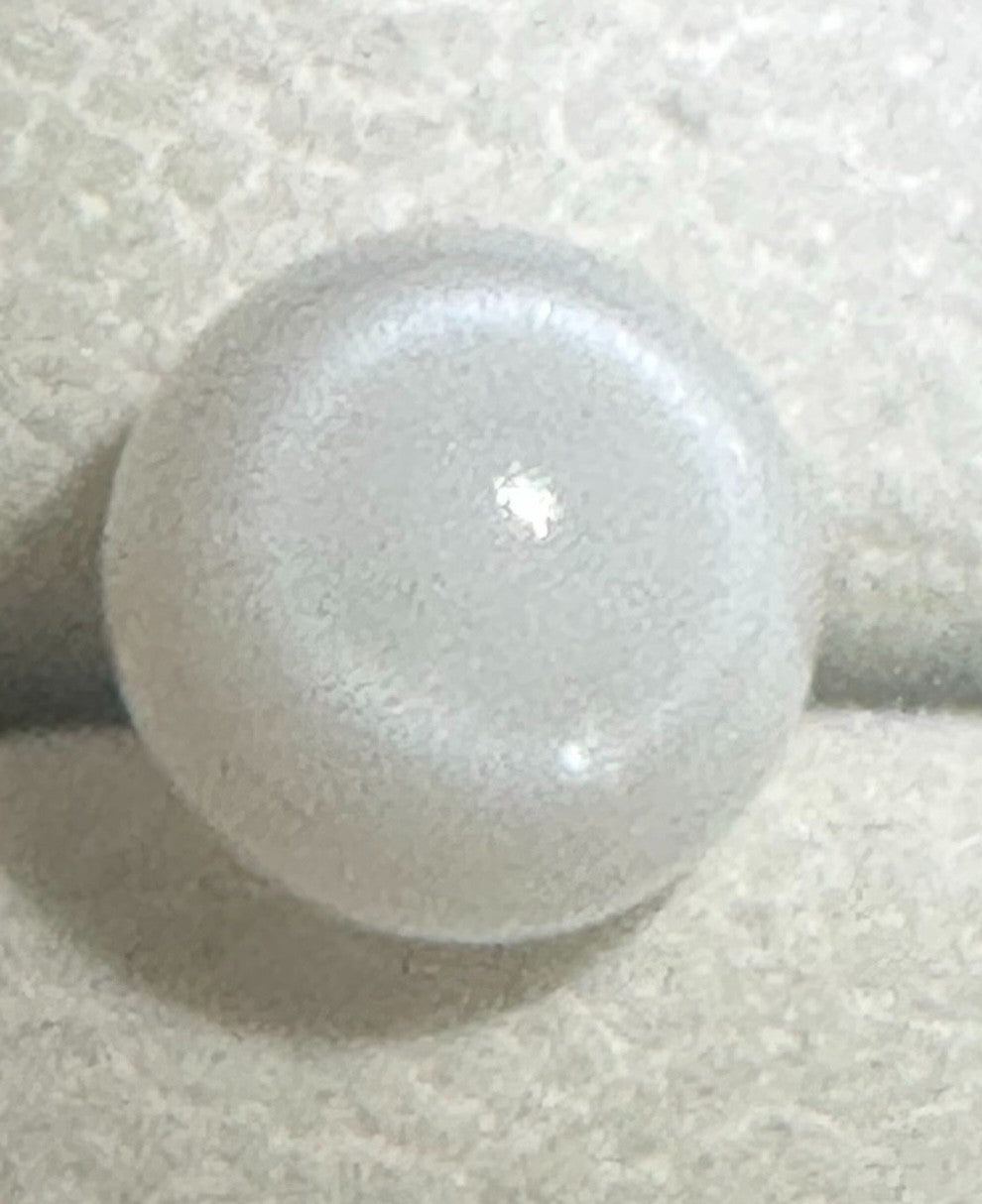 Natural Pearl Tridacna Clam 7.81ct - Beautiful !