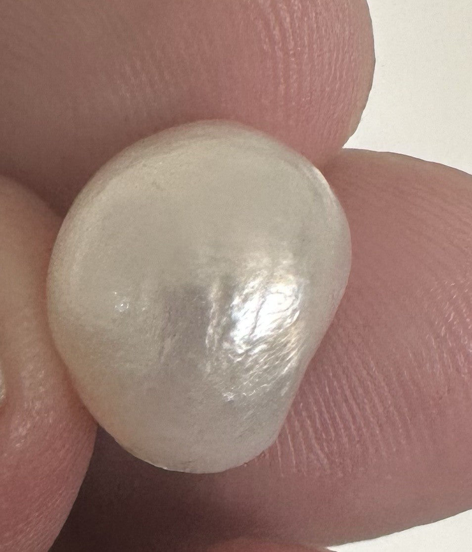 A Beautiful 12.65ct Natural Saltwater Pearl GIA Certificate