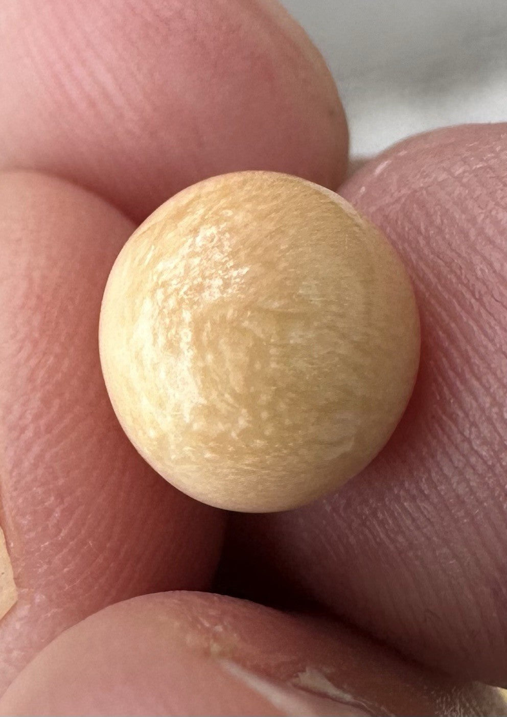 A Delightful Melo Pearl 5.22ct