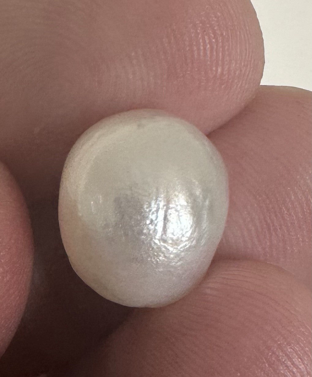 A Beautiful 12.65ct Natural Saltwater Pearl GIA Certificate