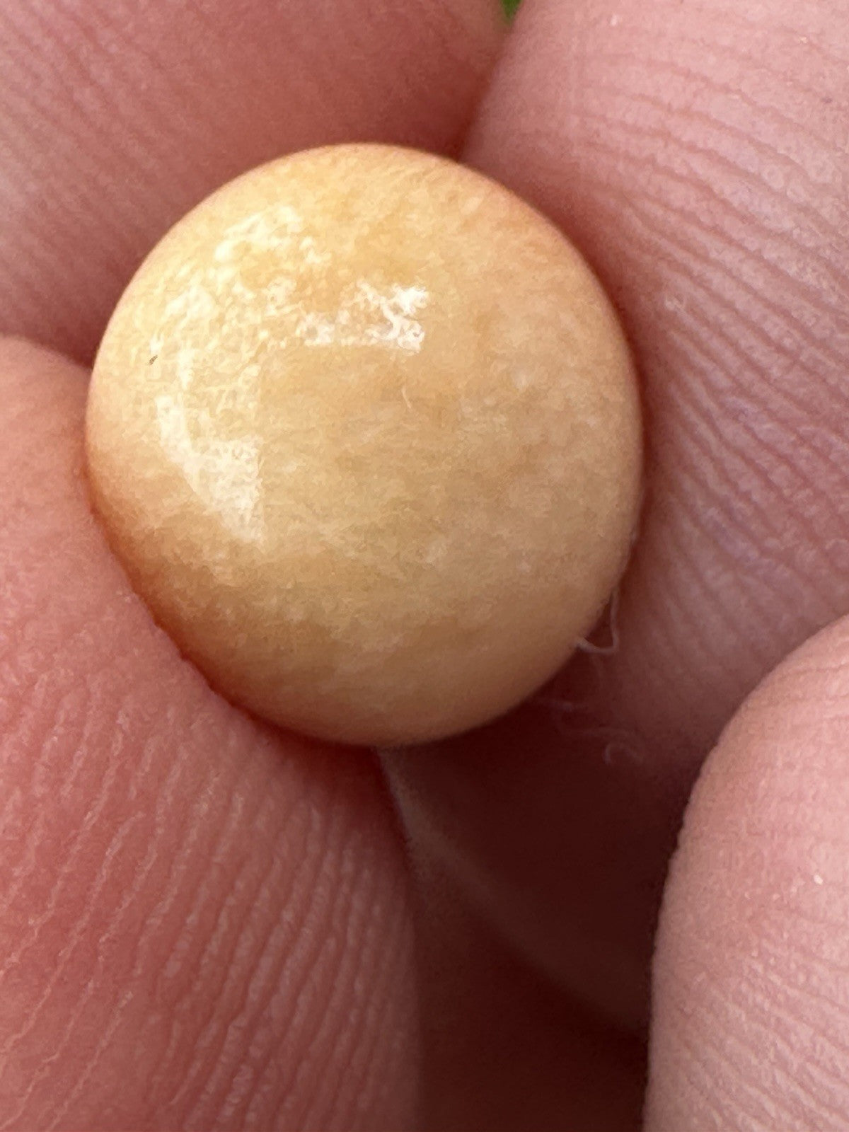 A Delightful Melo Pearl 5.22ct