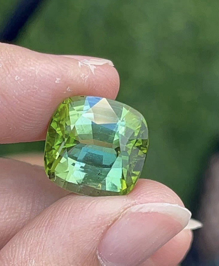 A Beautiful And Rare 10.50ct Vietnam Bicolor Tourmaline