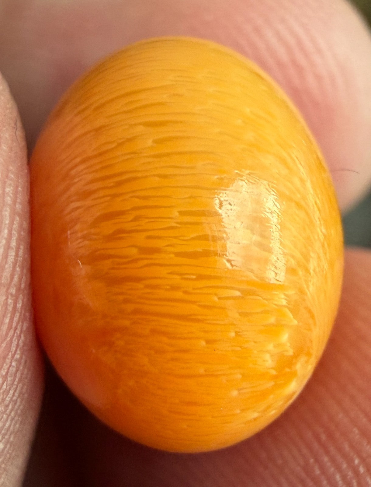 18.16ct Melo Pearl - Natural Pearl - World Class!