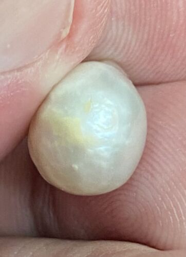 Magnificent Natural Pearl 10.10ct SSEF Certificate