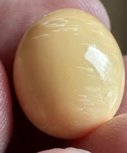 Beautiful Melo Pearl 35.94ct