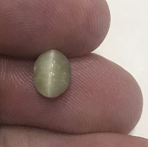 Extremely Rare 1.83ct Burma Prehnite Cat's Eye Cabochon