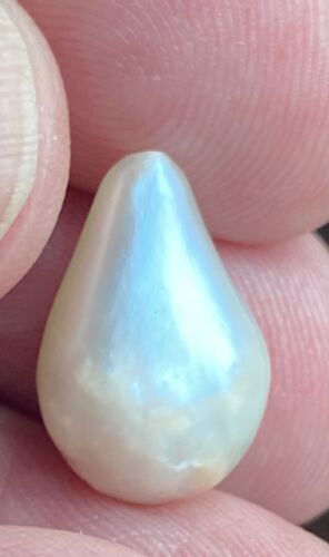 Magnificent Natural Pearl 10.10ct SSEF Certificate