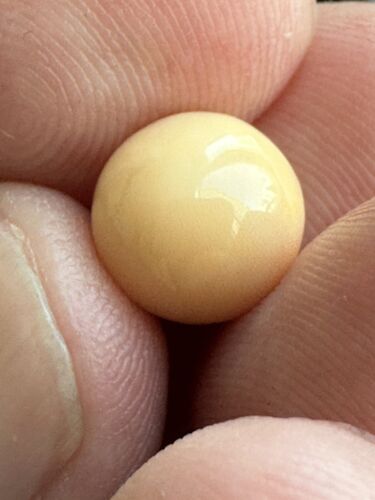 Exquisite Melo Pearl 6.72ct