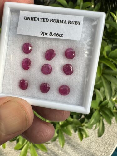 Closeout Unheated No Heat 9pc 8.46ct Burma Ruby Parcel