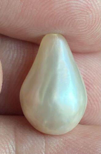 Magnificent Natural Pearl 10.10ct SSEF Certificate