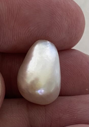 Magnificent Natural Pearl 12.008ct SSEF Certificate