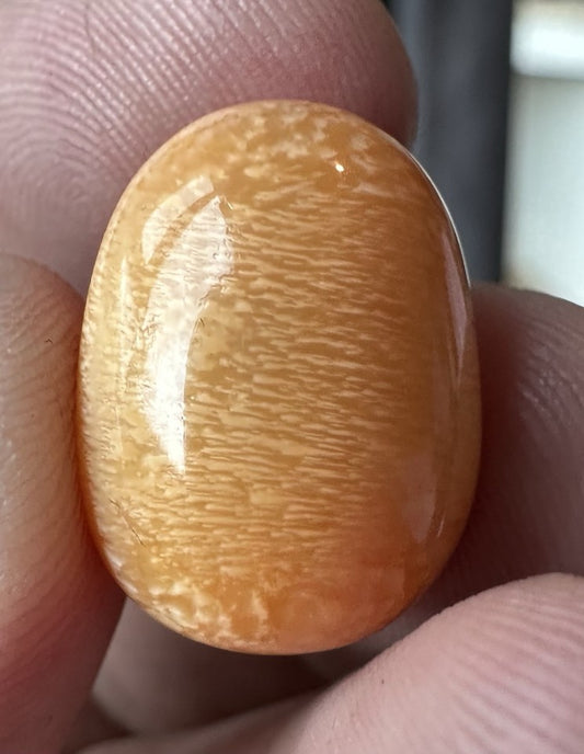 A Magnificent Melo Pearl 36.54ct