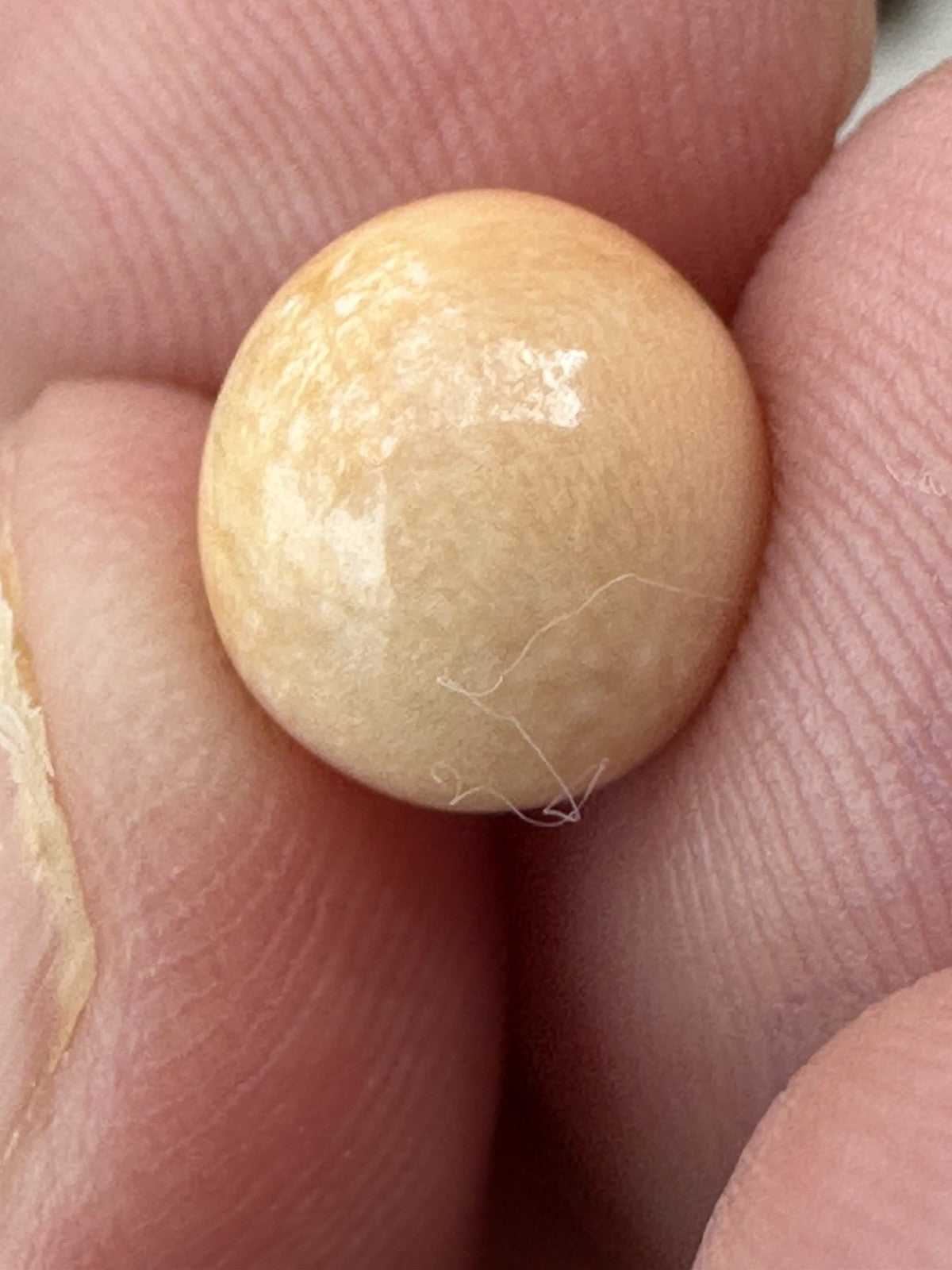 A Delightful Melo Pearl 5.22ct