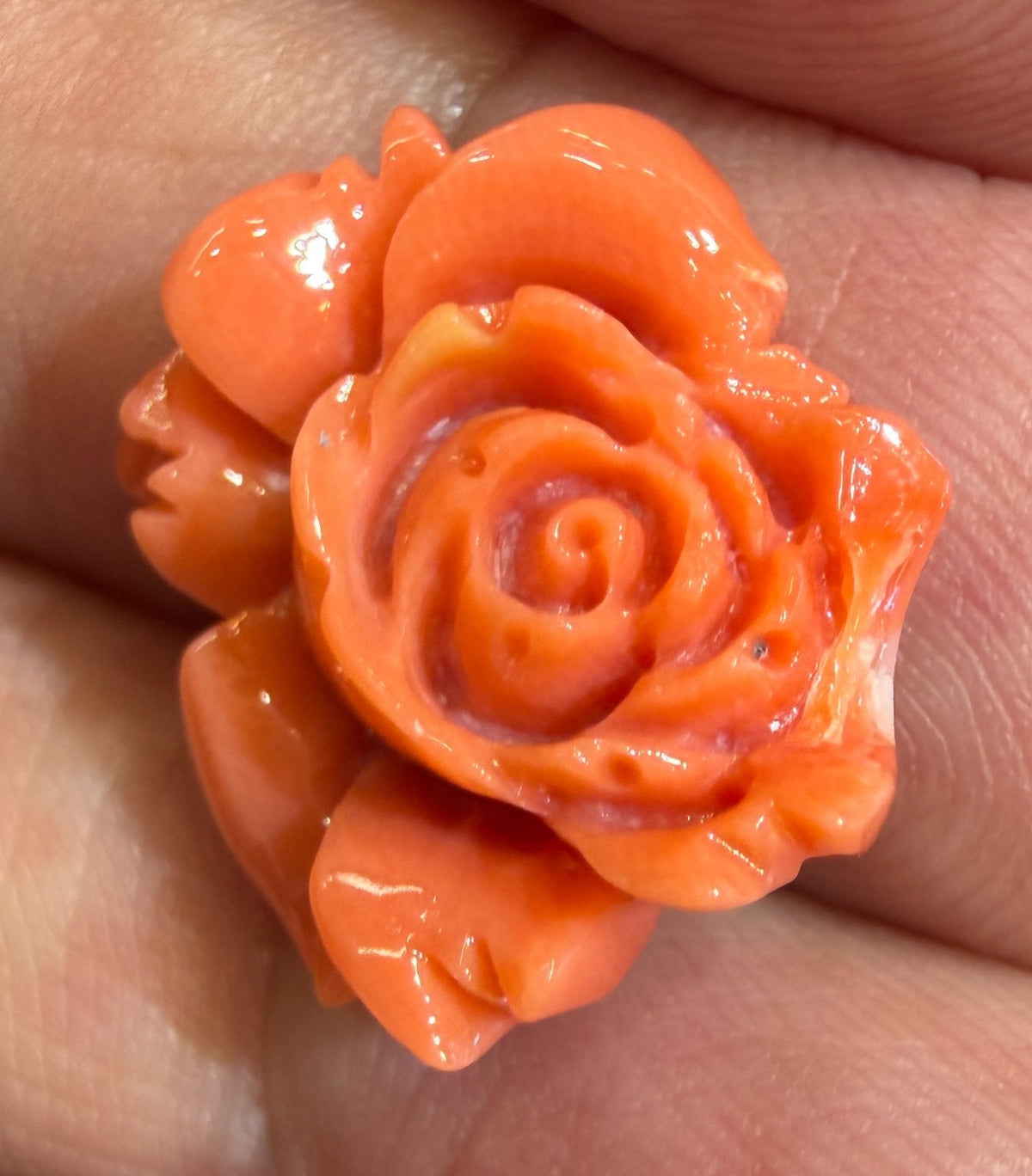 A Stunning Carved Red Coral Rose