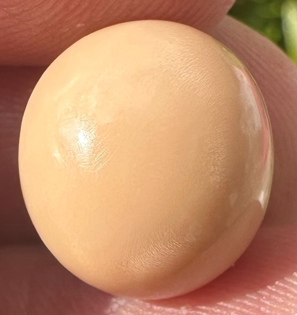 A Rare and Stunning 14.49ct Natural Saltwater Cassis Cornuta Pearl