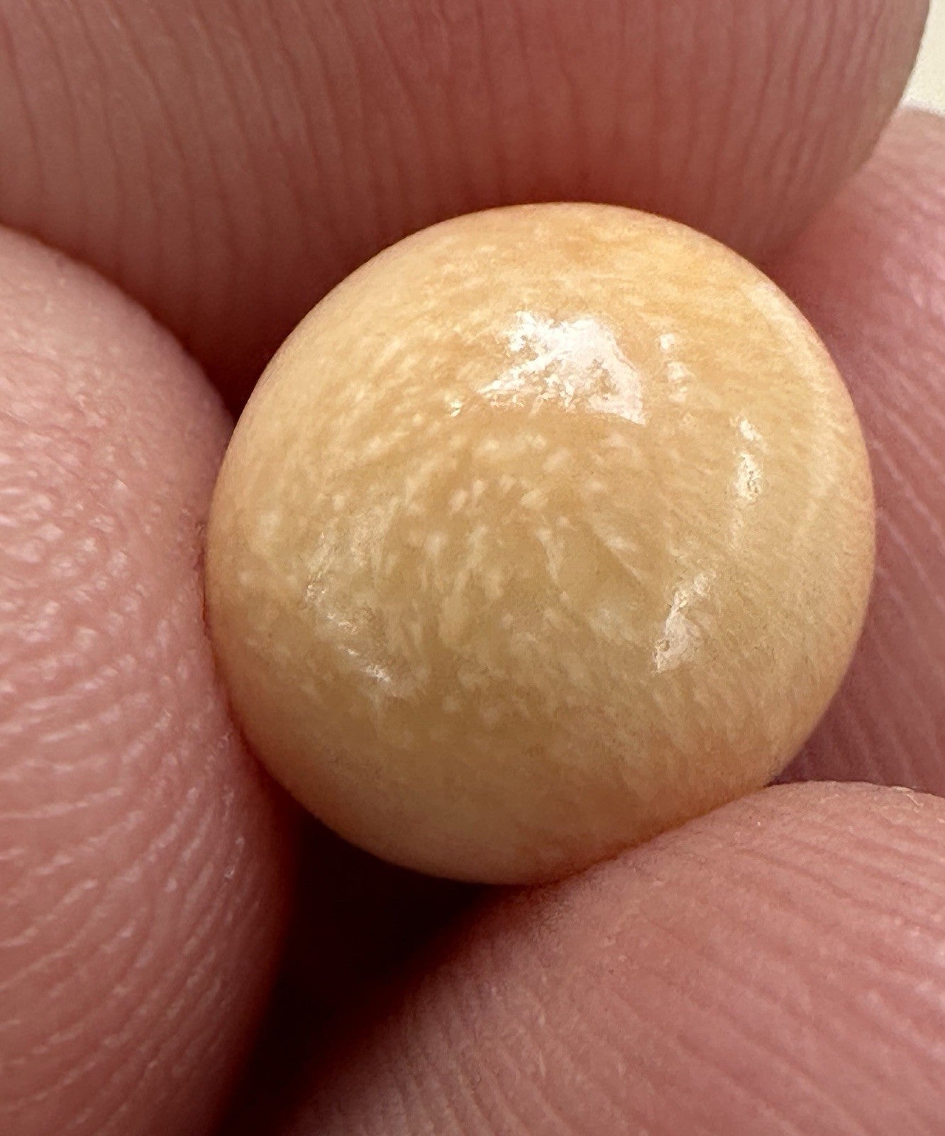 A Delightful Melo Pearl 5.22ct