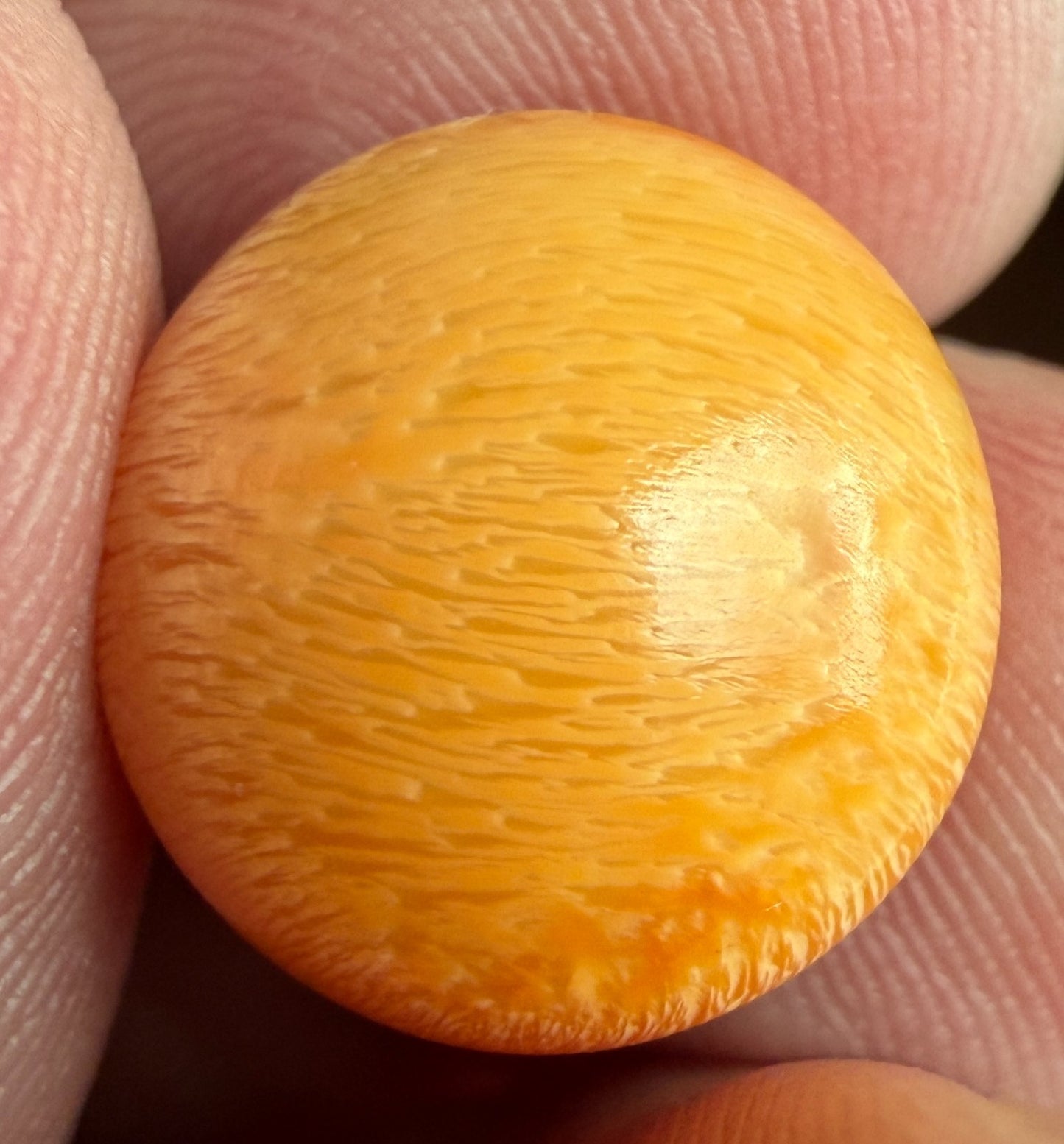 18.16ct Melo Pearl - Natural Pearl - World Class!