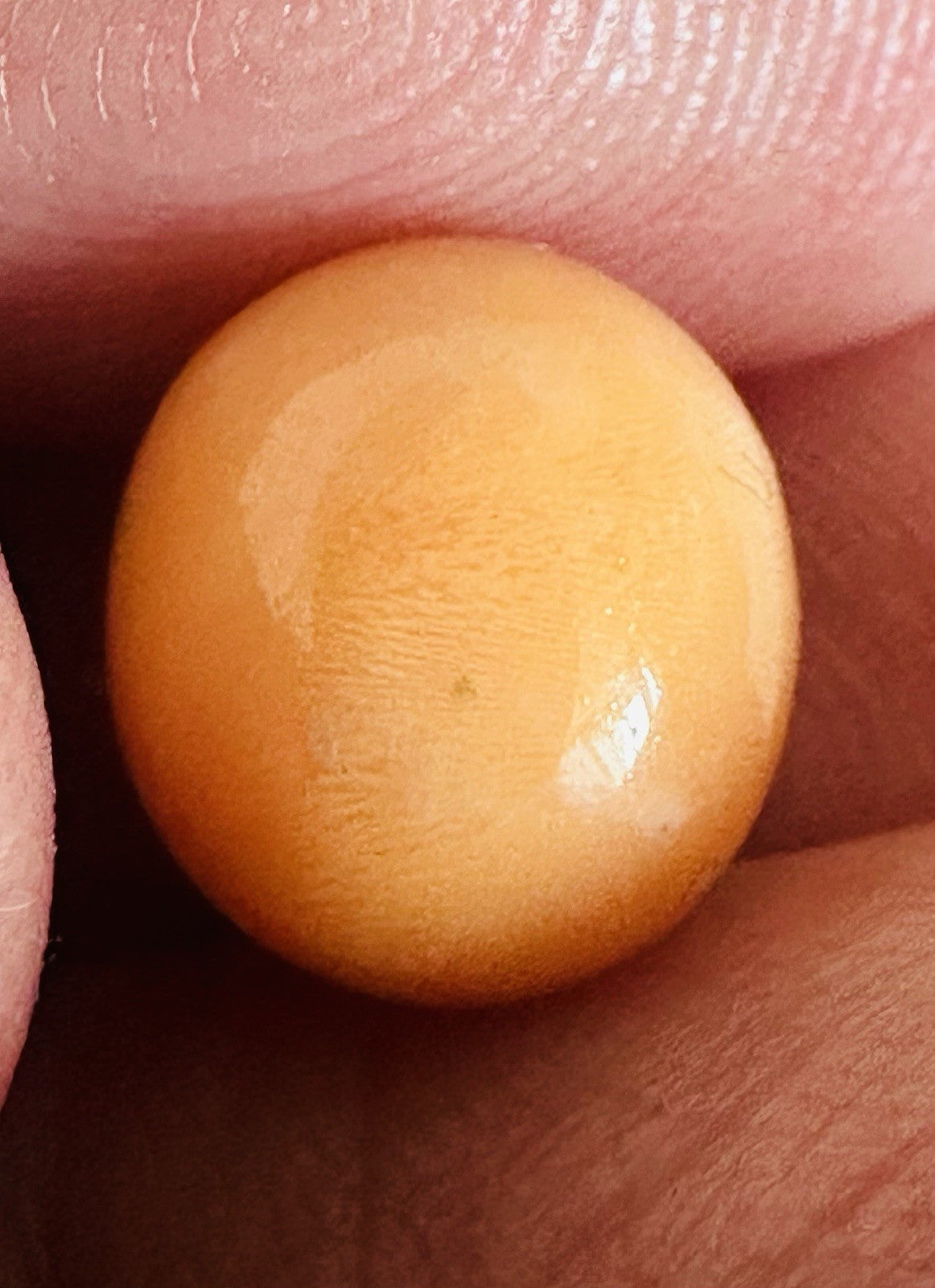 Melo Pearl 6.30ct - Natural Pearl - Gorgeous!