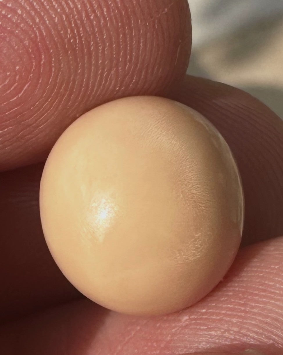 A Rare and Stunning 14.49ct Natural Saltwater Cassis Cornuta Pearl