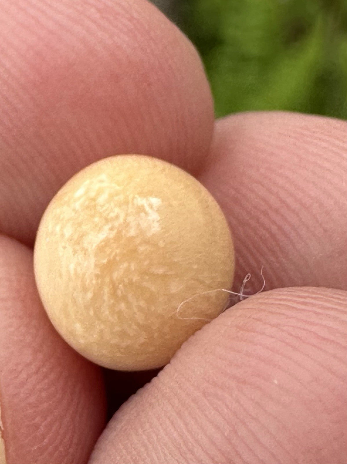 A Delightful Melo Pearl 5.22ct